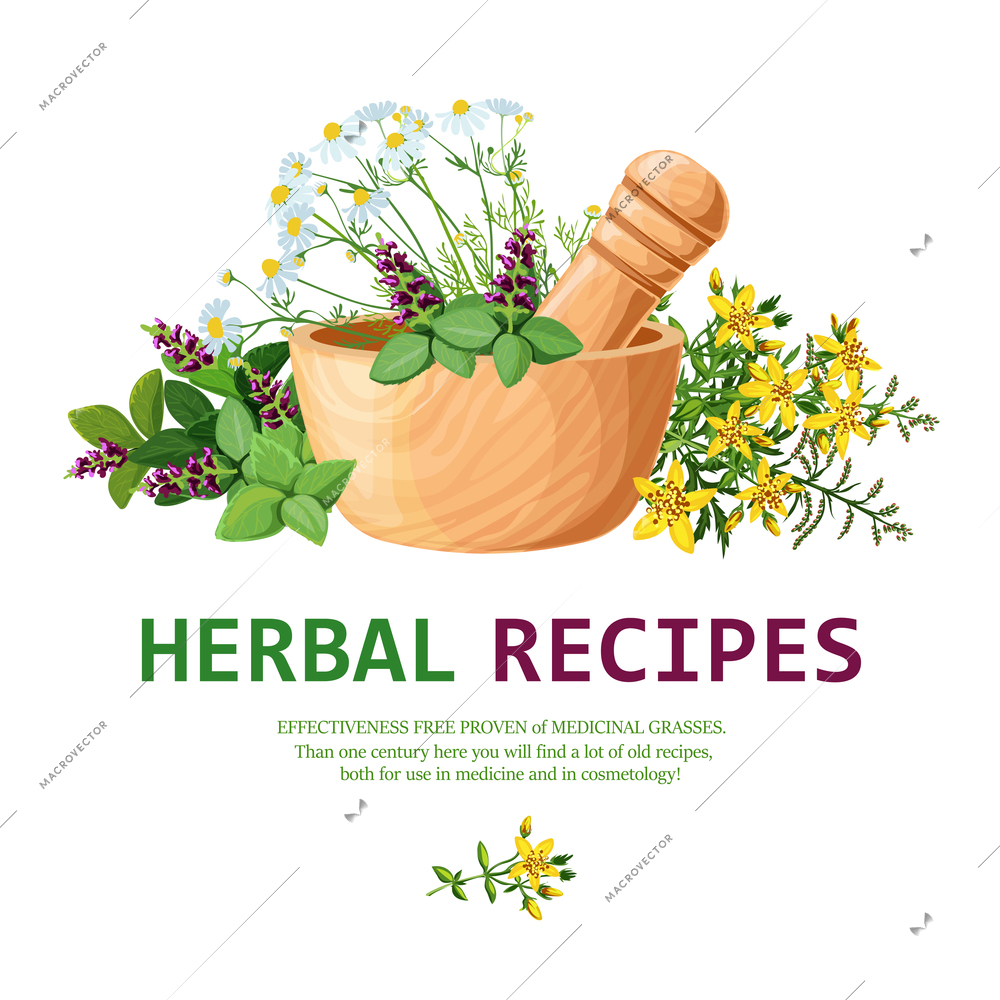 Original color illustration of medicinal herbs in clay mortar with pestle for decorating herbal recipes vector illustration