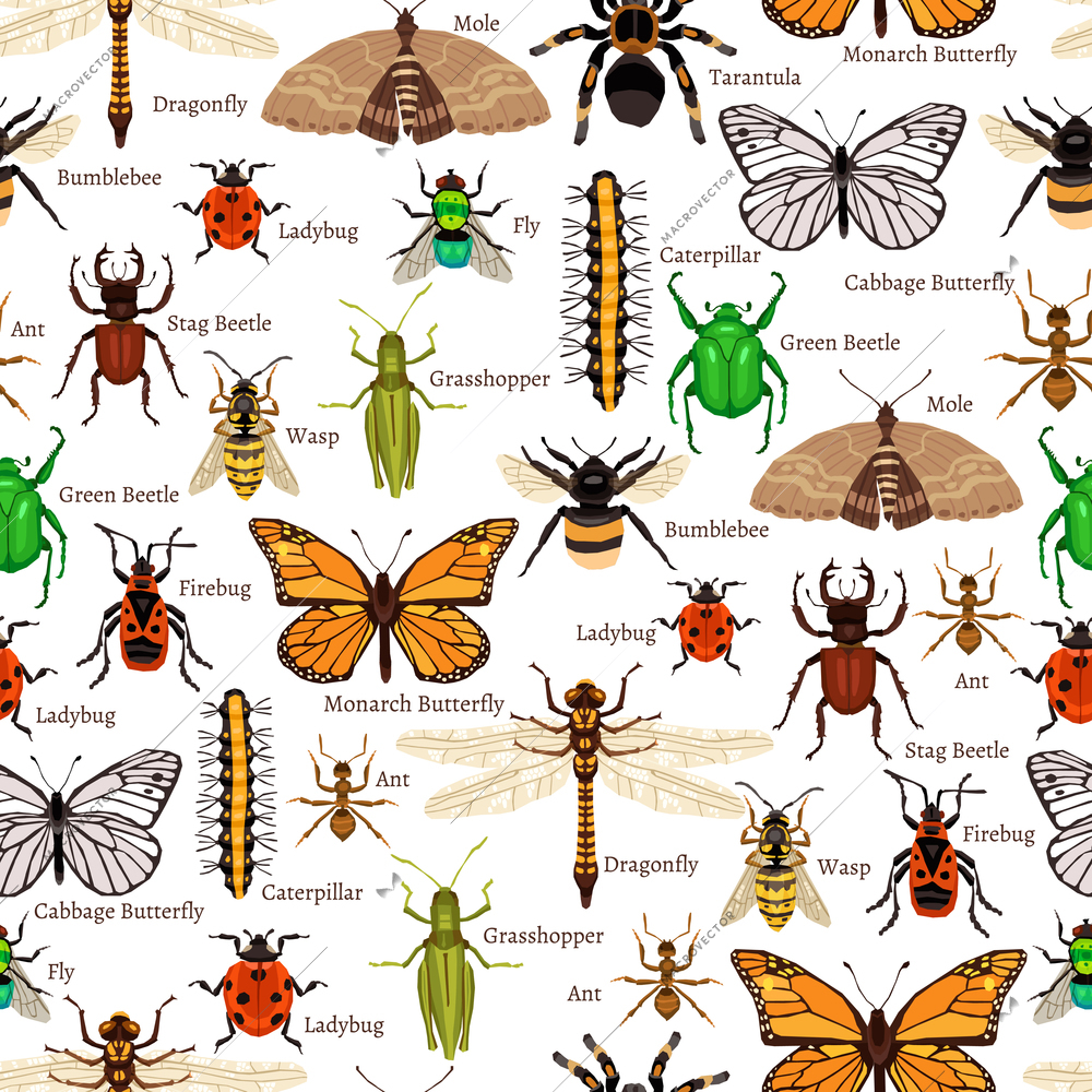 Insects Seamless Pattern. Insects Flat Vector Illustration. Insects Decorative Design.  Insects Elements Collection.