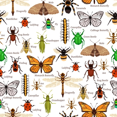 Insects Seamless Pattern. Insects Flat Vector Illustration. Insects Decorative Design.  Insects Elements Collection.