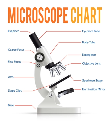 Modern electronic powerful lab microscope parts infographic  presentation chart with realistic instrument side view poster vector illustration