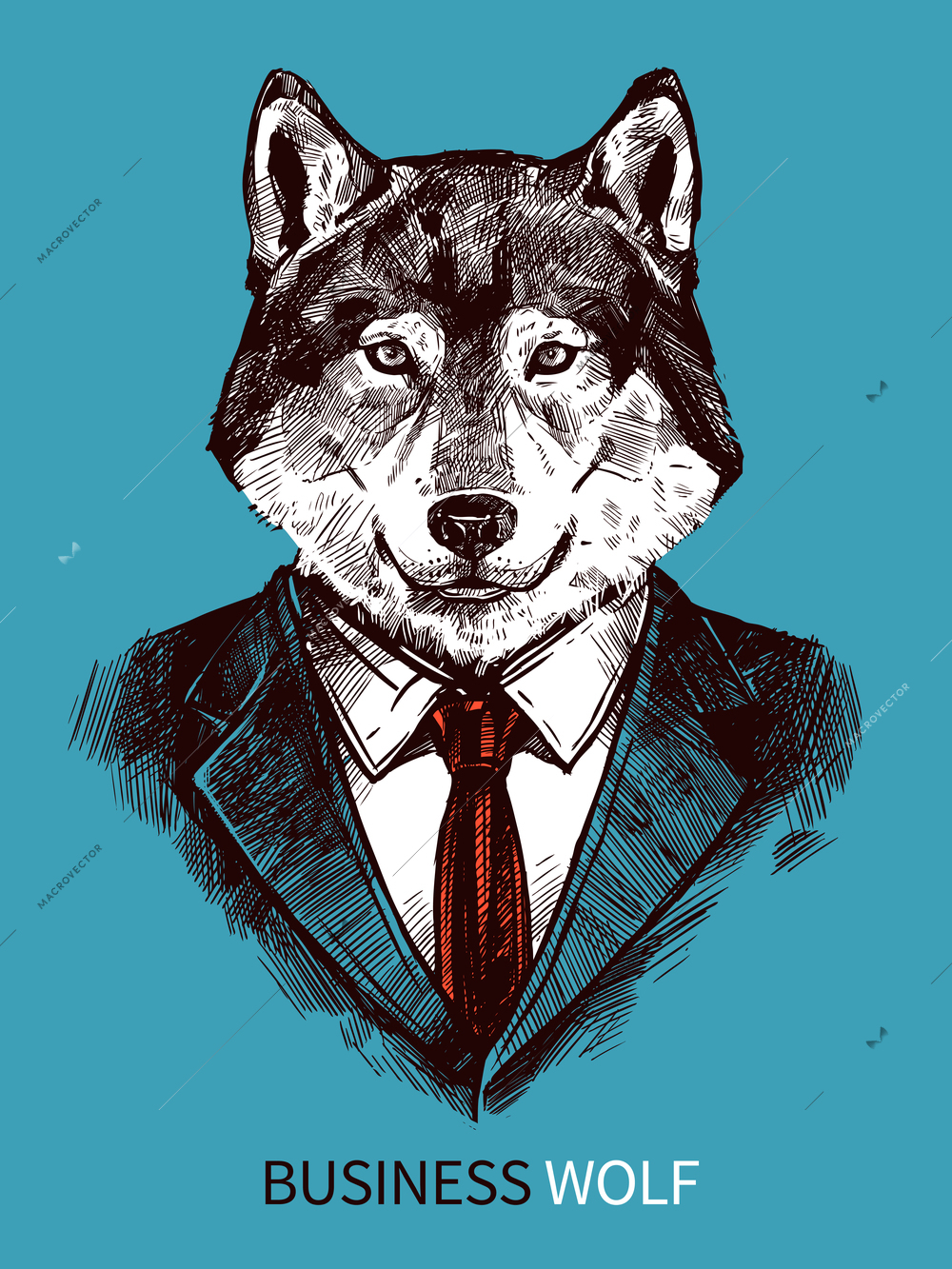 Hand drawn poster of business wolf in suit portrait on blue background fashion vector illustration