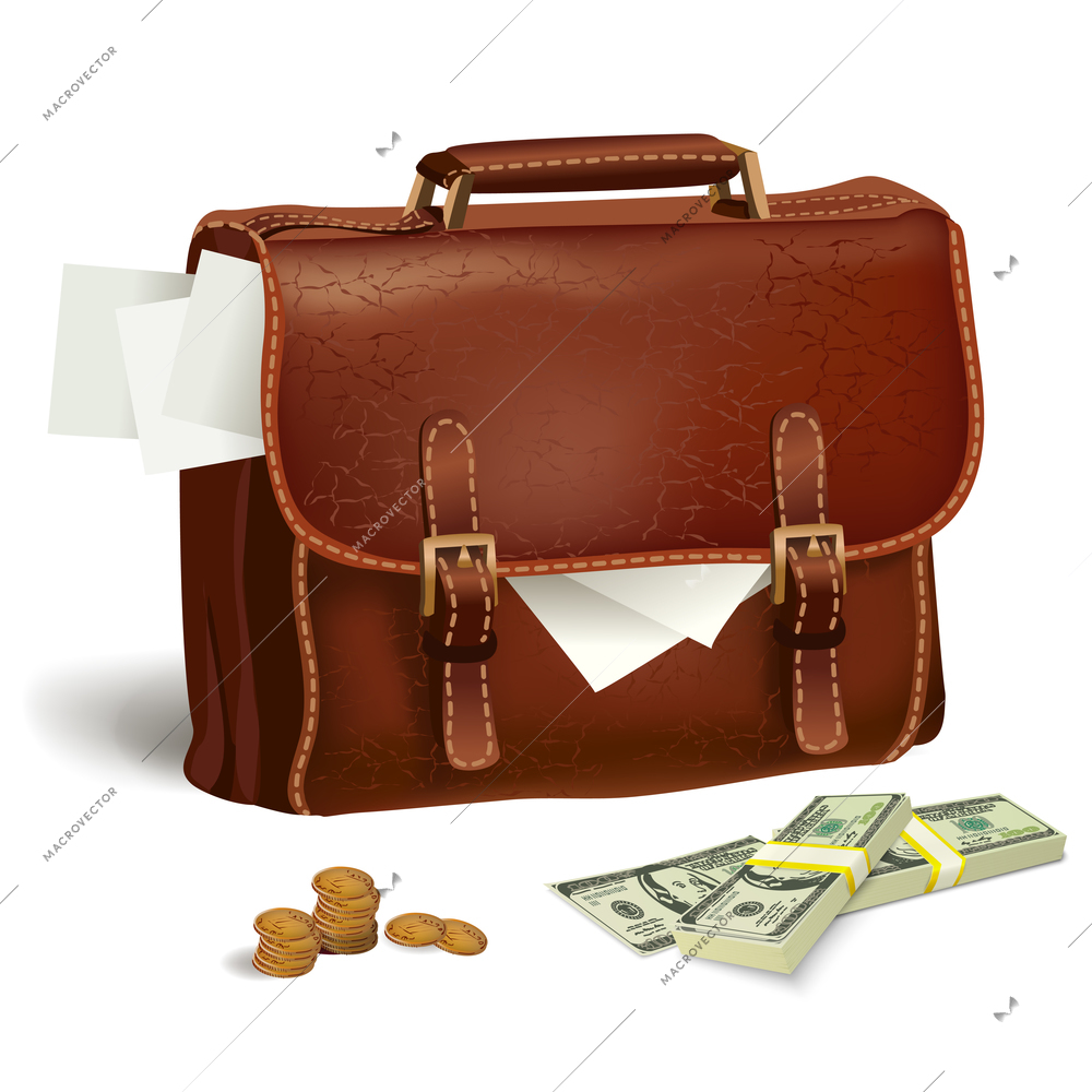 Classic modern brown leather business briefcase with documents money and coins concept isolated vector illustration