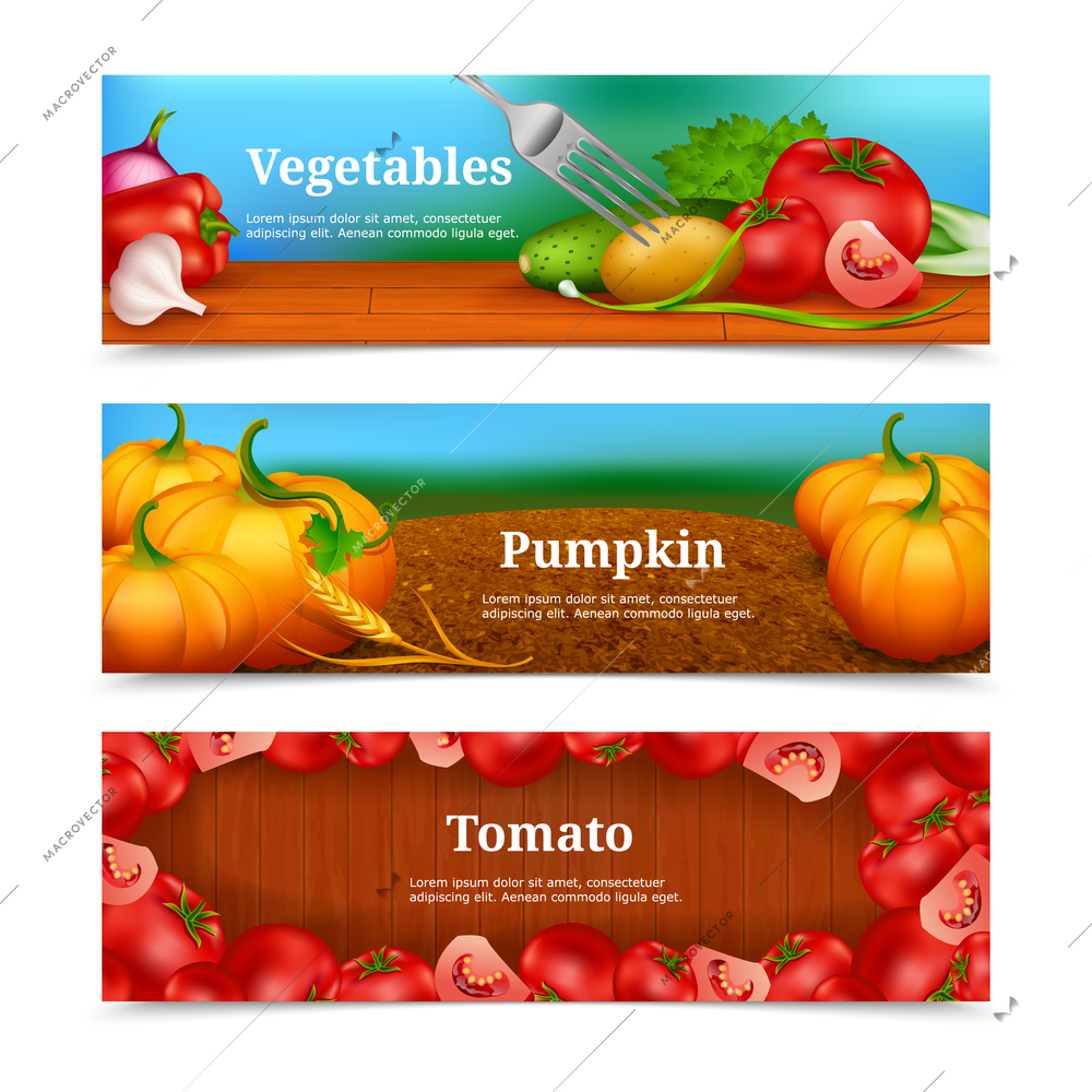 Three colorful horizontal banners with vegetables and greengrocery for salad pumpkin in field and tomato frame vector illustration