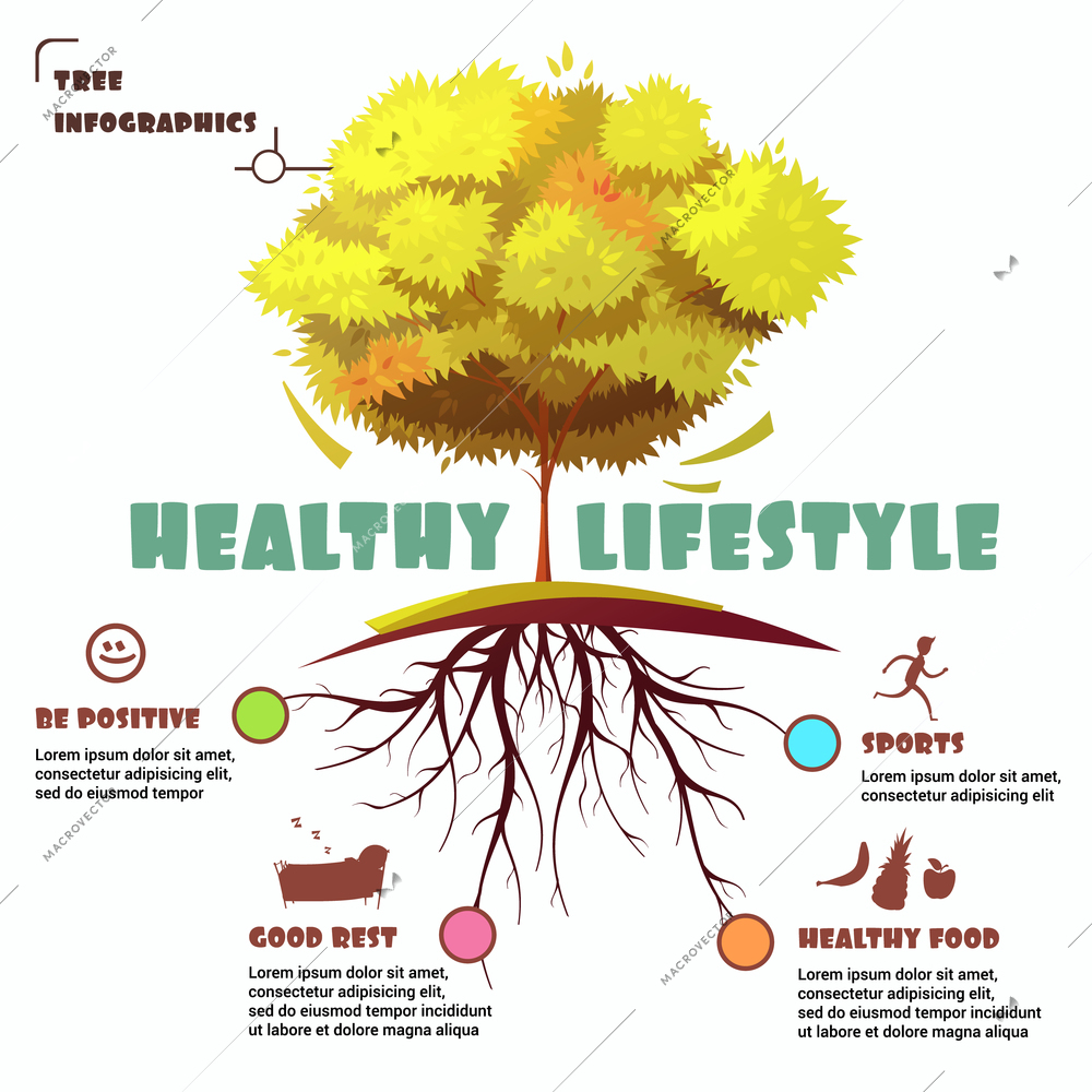 Autumn tree with root infographics representing healthy lifestyle with sports healthy food good rest and be positive parts flat cartoon vector illustration