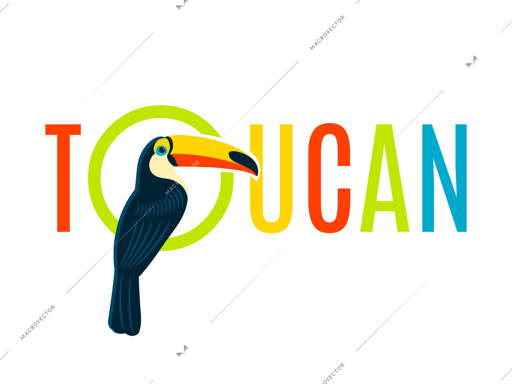 Toucan bird colorful nameplate design for boards tags labels and recreation areas names flat banner vector illustration