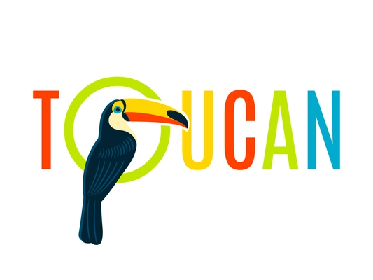 Toucan bird colorful nameplate design for boards tags labels and recreation areas names flat banner vector illustration