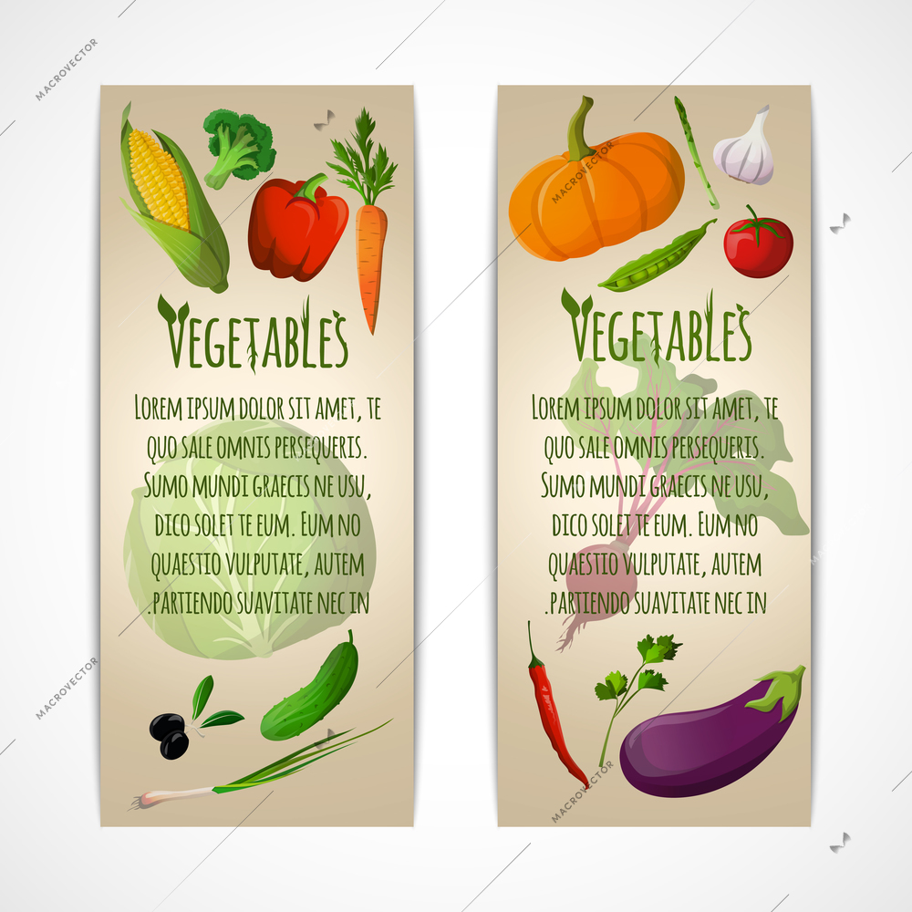 Food vegetables doodle vertical banners set of corn pepper broccoli carrot olive vector illustration