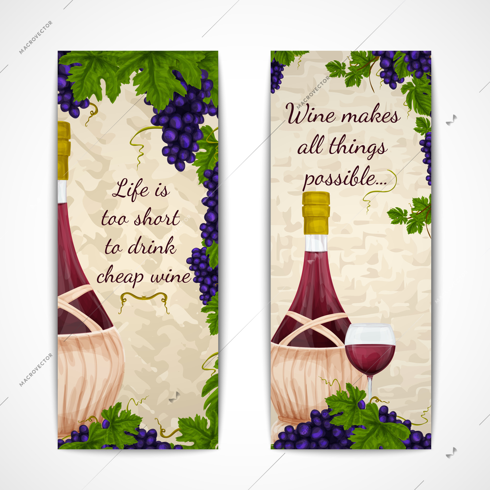 Wine jar glass and grape branches decoration vertical banners set vector illustration