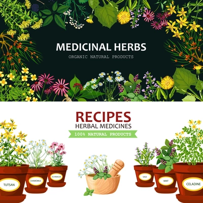 Color horizontal banners with title depicting medicinal herbs in clay mortar and recipes vector illustration