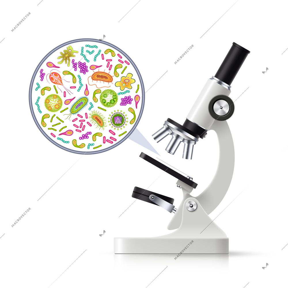 Biochemical research lab realistic white black microscope side view with magnified examined specimen image drawing vector illustration