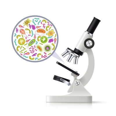 Biochemical research lab realistic white black microscope side view with magnified examined specimen image drawing vector illustration