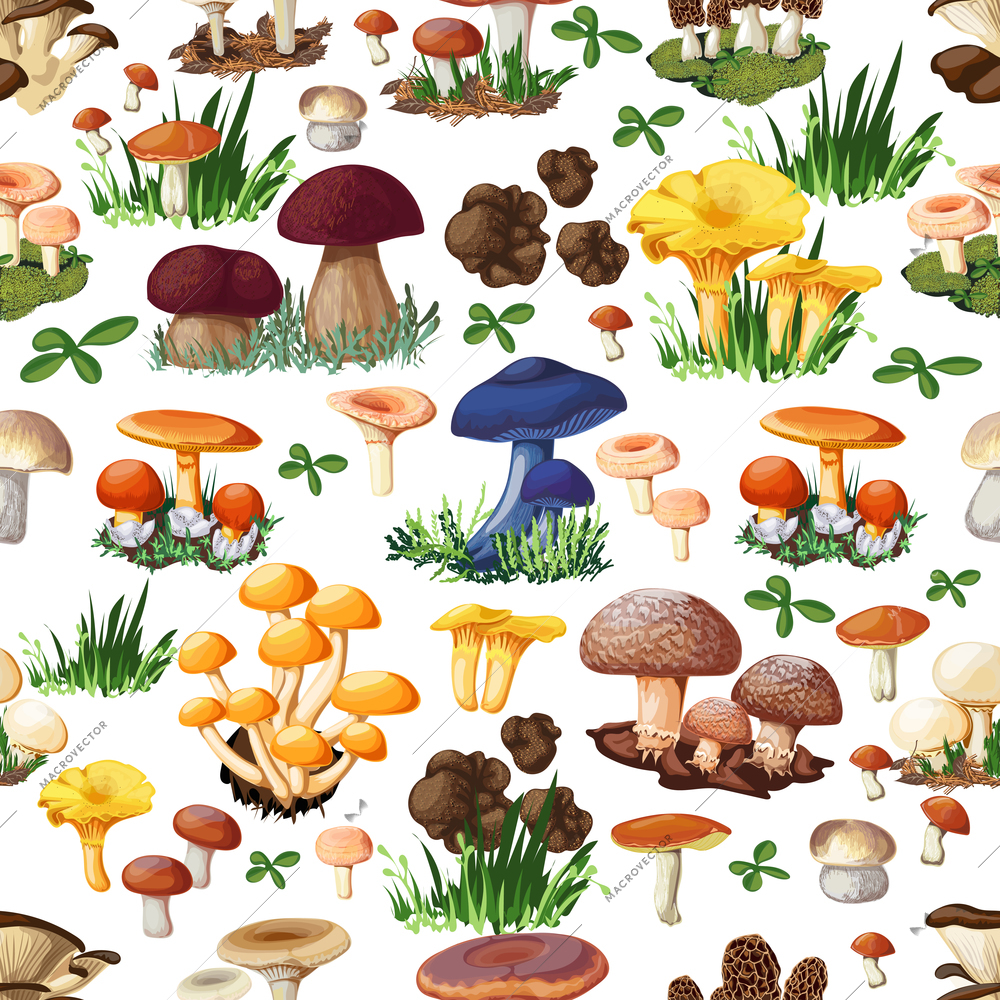 Mushroom seamless pattern with forest wild species  so as suillus puffball russula chanterelle shiitake morel truffle honey fungus cartoon vector illustration