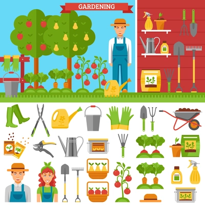 Growing vegetables and fruits in garden with ground fence seeds sprouts fertilizer tool harvest isolated vector illustration