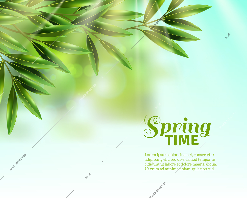 Branches of olive tree with green leaves in spring sunlight at blue sky background flat vector illustration