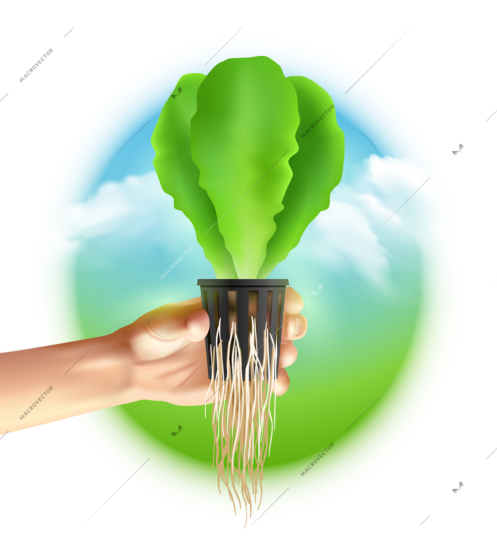 Hydroponics system colored poster big circle in the middle where there hand with seedlings on landscape background vector illustration