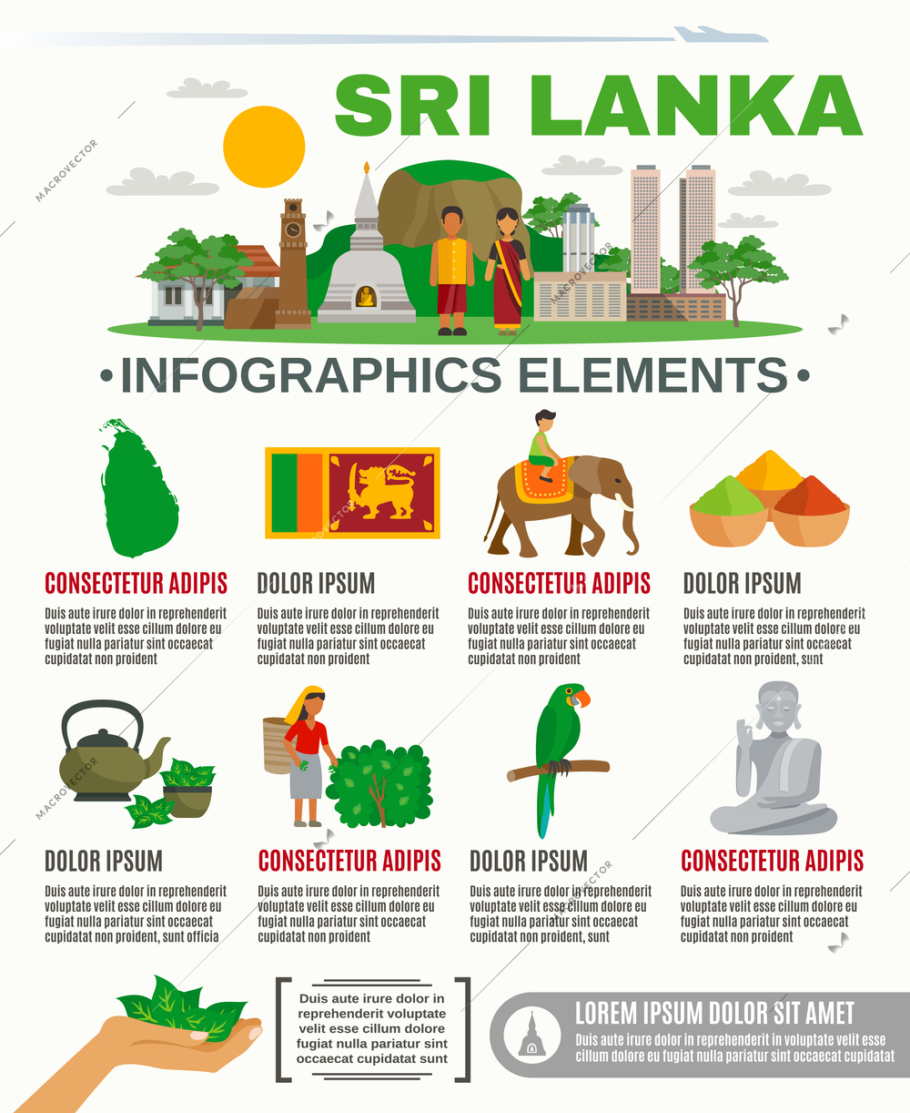 Infographic showing Major attractions and features Sri Lanka culture vector illustration