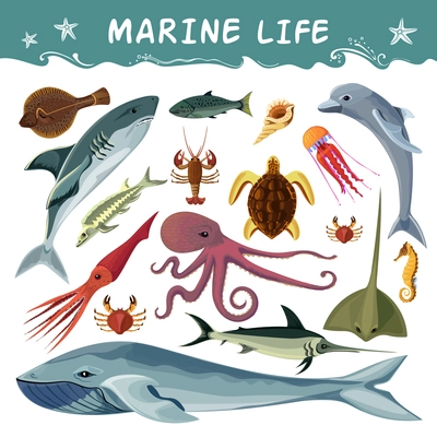 Marine inhabitants cartoon decorative icons set with dolphin shark sea turtle octopus crab squid isolated flat vector illustration