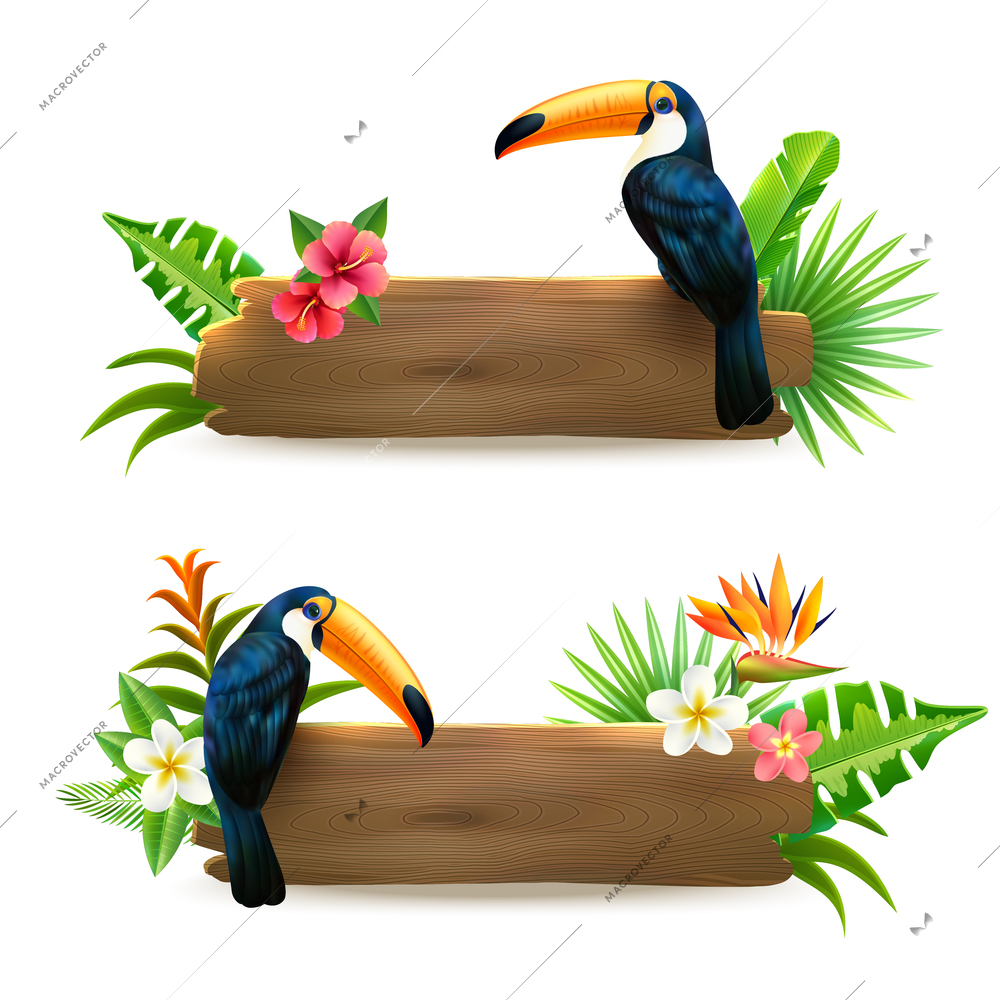 Toucan sitting on wooden board with tropical rain forest flowers 2 realistic banners set isolates vector illustration