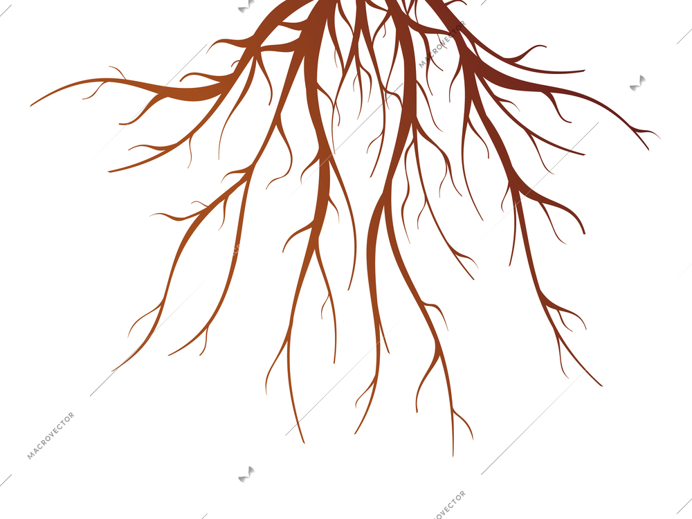 Brown tree root on white background flat isolated vector illustration