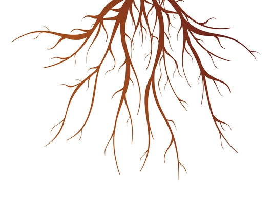 Brown tree root on white background flat isolated vector illustration