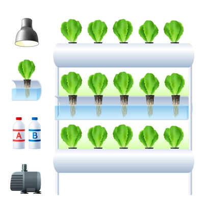 Hydroponics system icon set with equipment and necessary tools for plants cultivation vector illustration