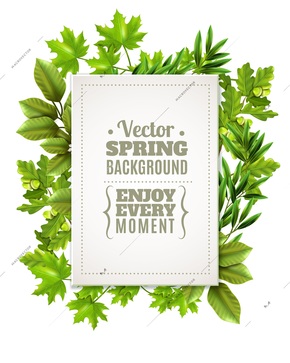 Decorative green frame with spring leaves and branches of deciduous trees and white rectangle with text in foreground vector illustration