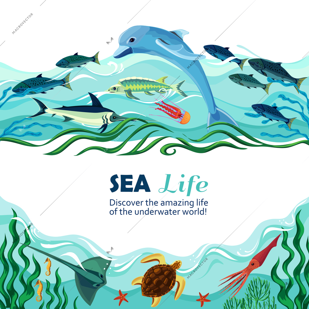 Cartoon vector illustration of sea life with exotic underwater inhabitants and shoal of fishes in marine waves