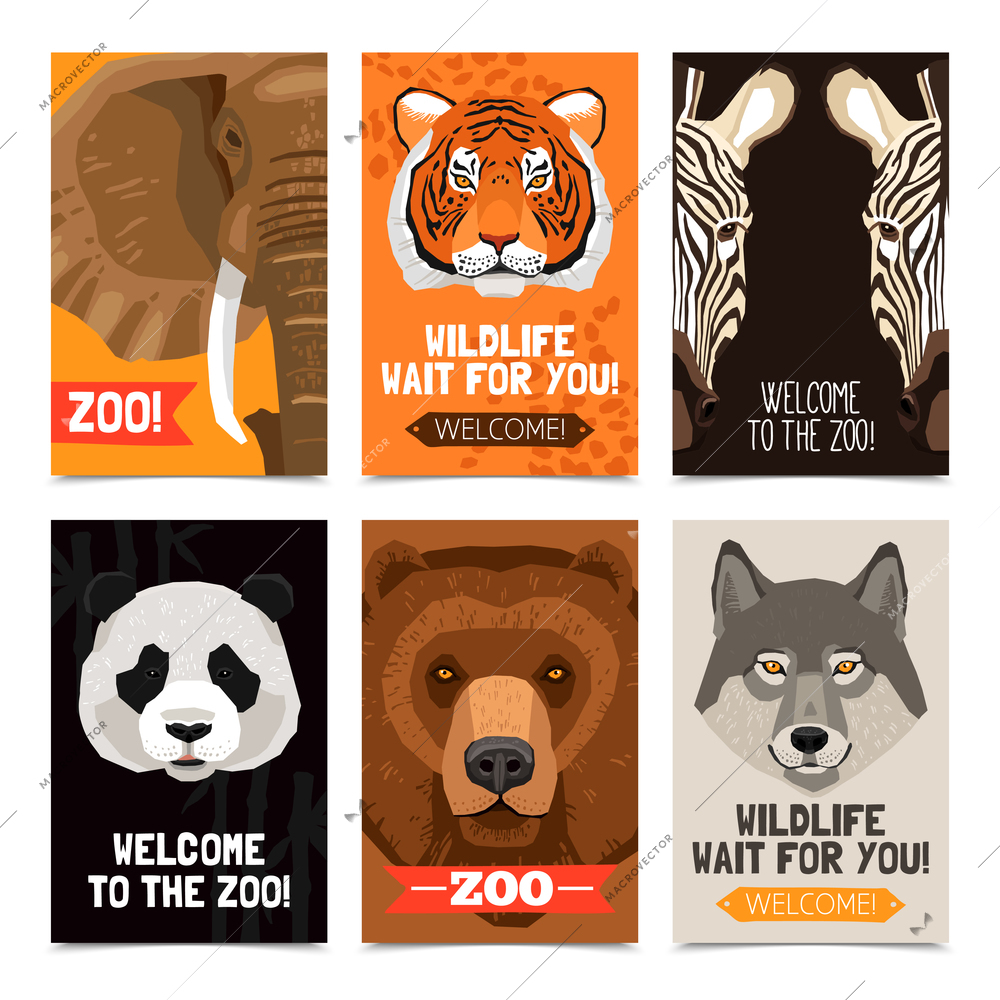 Mini posters set with different wild animals heads on each poster and zoo advertising flat vector illustration