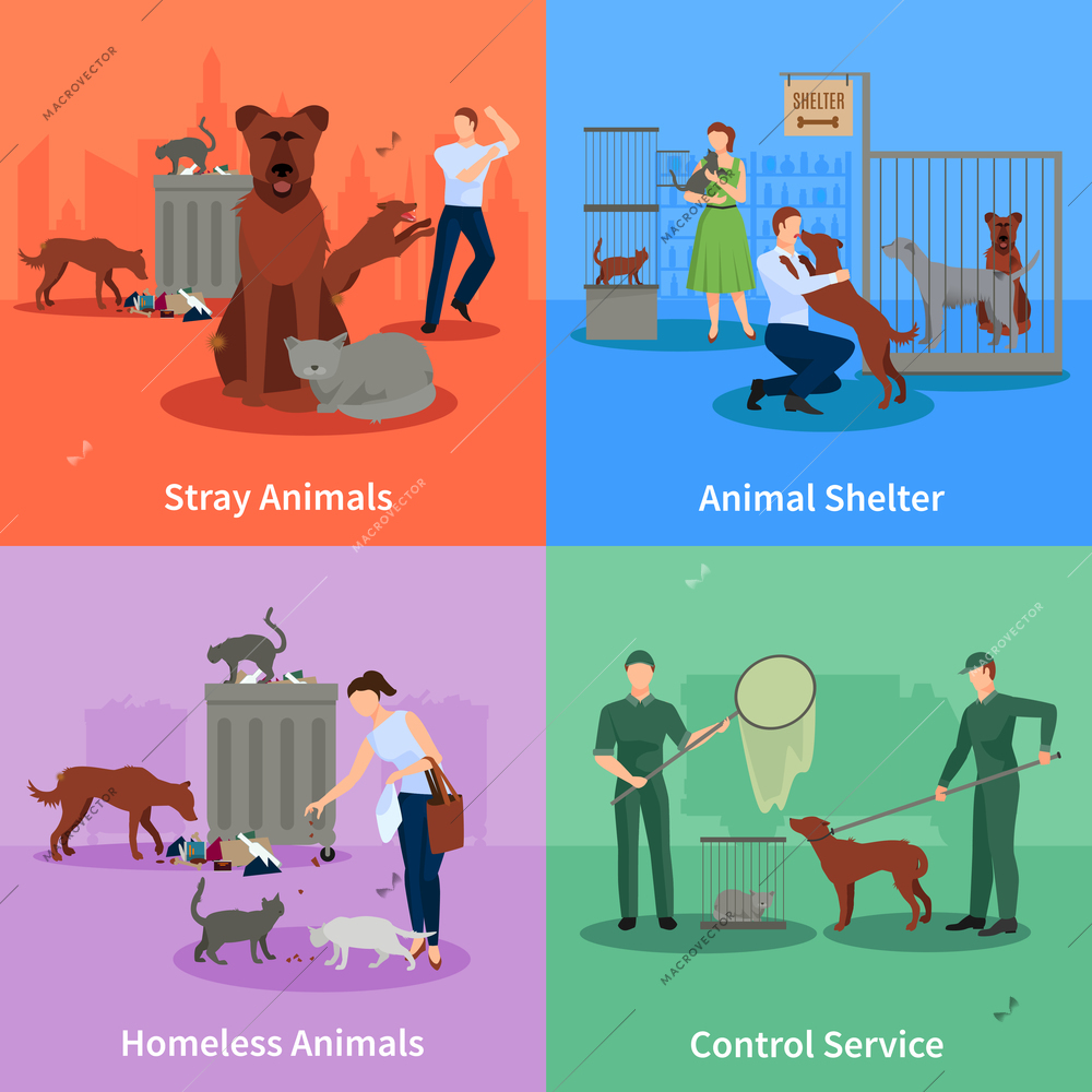 Stray animals icons set conduct outside their habits shelter and control service vector illustration