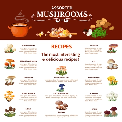 Assorted  mushrooms infographics flat layout with visual information about different edible species and most interesting and delicious recipes vector illustration