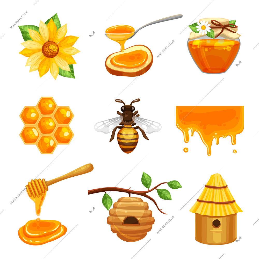 Honey isolated cartoon icon set with various elements of beekeeping and bee life vector illustration