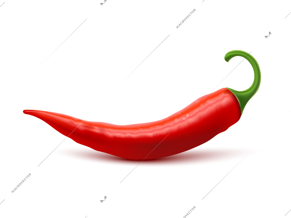 Red hot natural chili pepper pod realistic image with shadow for culinary products and recipes vector illustration