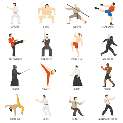 Martial arts decorative flat icons set with sumo karate judo ninja taekwondo kung fu isolated vector illustration