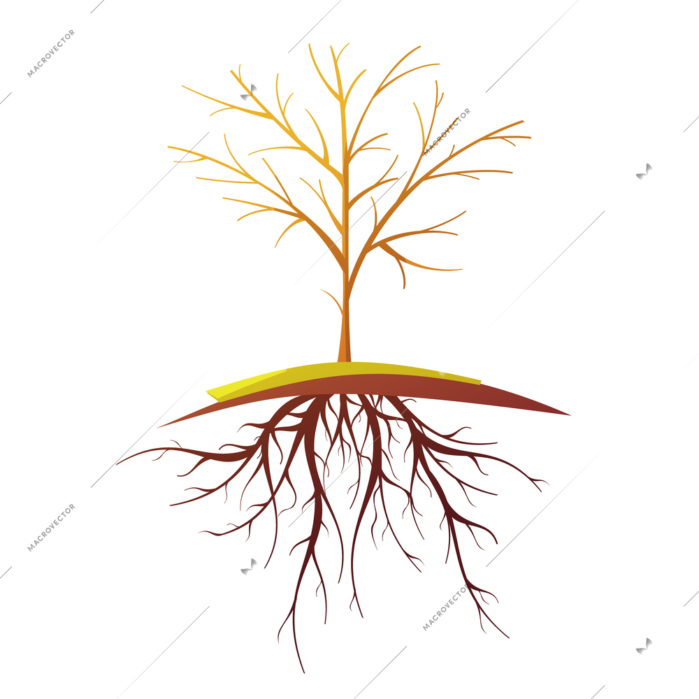 Single small bald tree with root on white background flat retro cartoon isolated vector illustration