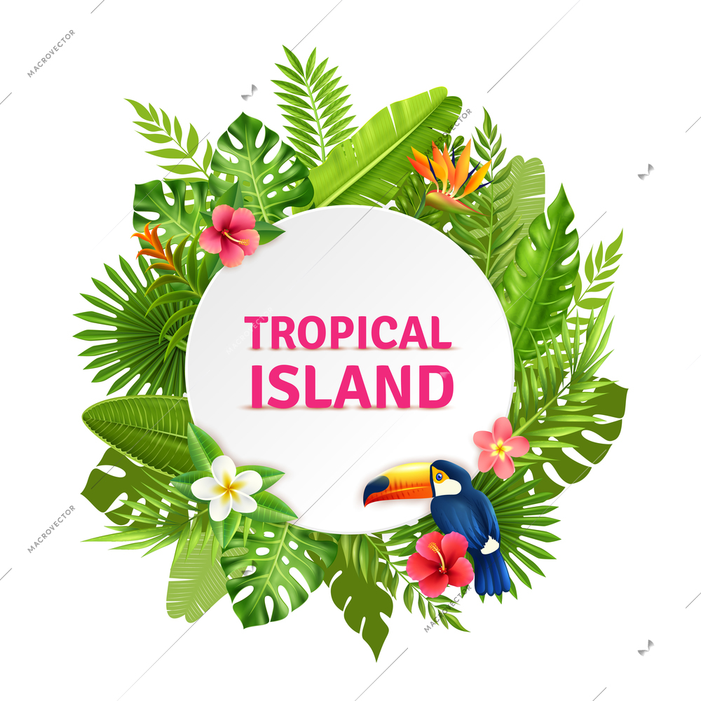 Tropical island decorative circular frame design with toucan bird in succulent rainforest plants flowers colorful vector illustration