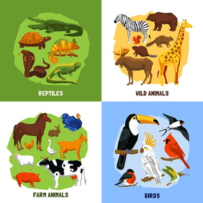 Cartoon 2x2 zoo images of animals sets grouped by reptiles birds wild and farm animals vector illustration