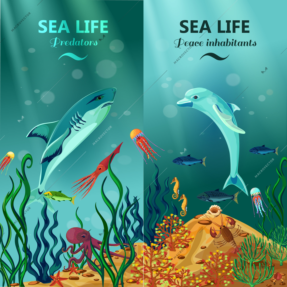 Colorful vertical sea life banners with peace and predator inhabitants of underwater coral reefs flat vector illustration