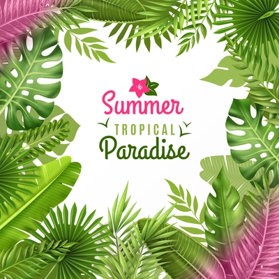 Summer tropical paradise decorative frame or background dezign with opulent rainforest plants foliage composition vector illustration