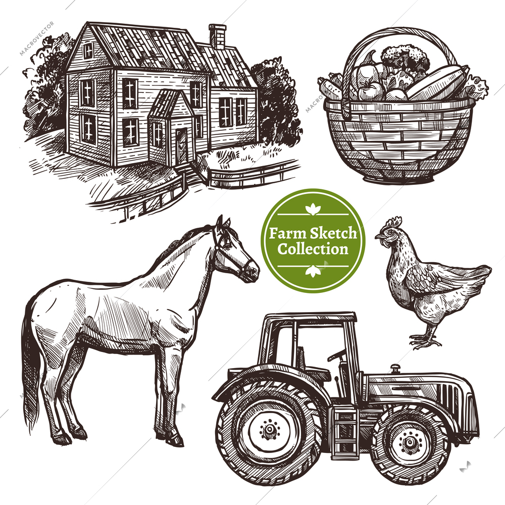 Black and white farm hand drawn sketch set with horse hen farmhouse tractor and basket with vegetables on white background isolated vector illustration