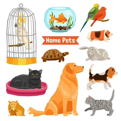 Big and small home pets set with dogs cats birds fish turtle hamster rabbit and guinea pig on white background flat isolated vector illustration