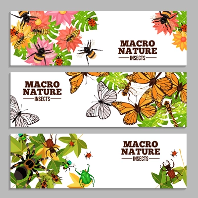 Insects horizontal banners of wasps butterflies bugs beetles and others on flowers and leaves doodle vector illustration