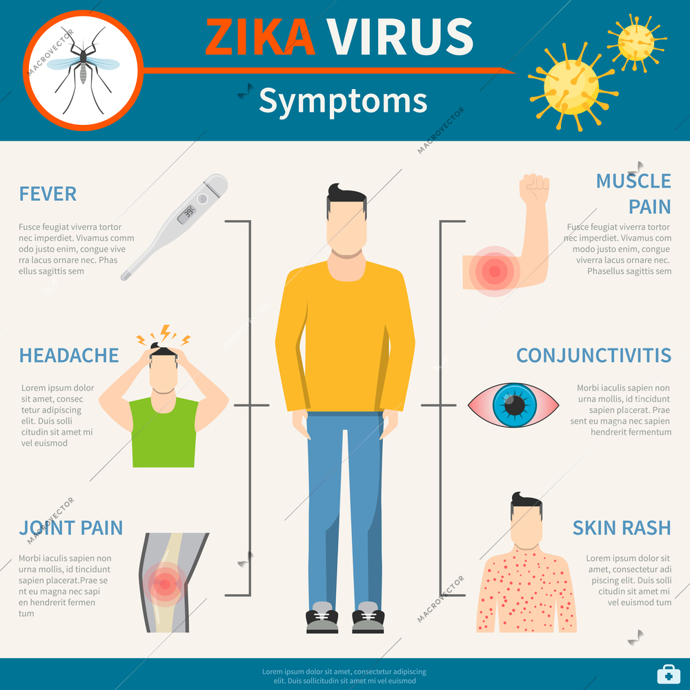 Zika Symptoms Set. Zika Virus Poster. Zika Flat Illustration. Zika Virus Vector. Zika Virus Information. Zika Virus Warning.