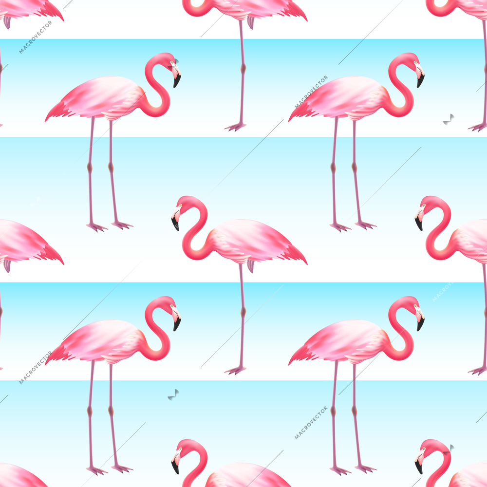 Pink flamingo bird standing on one and two legs horizontal ocean blue stripes seamless pattern vector illustration