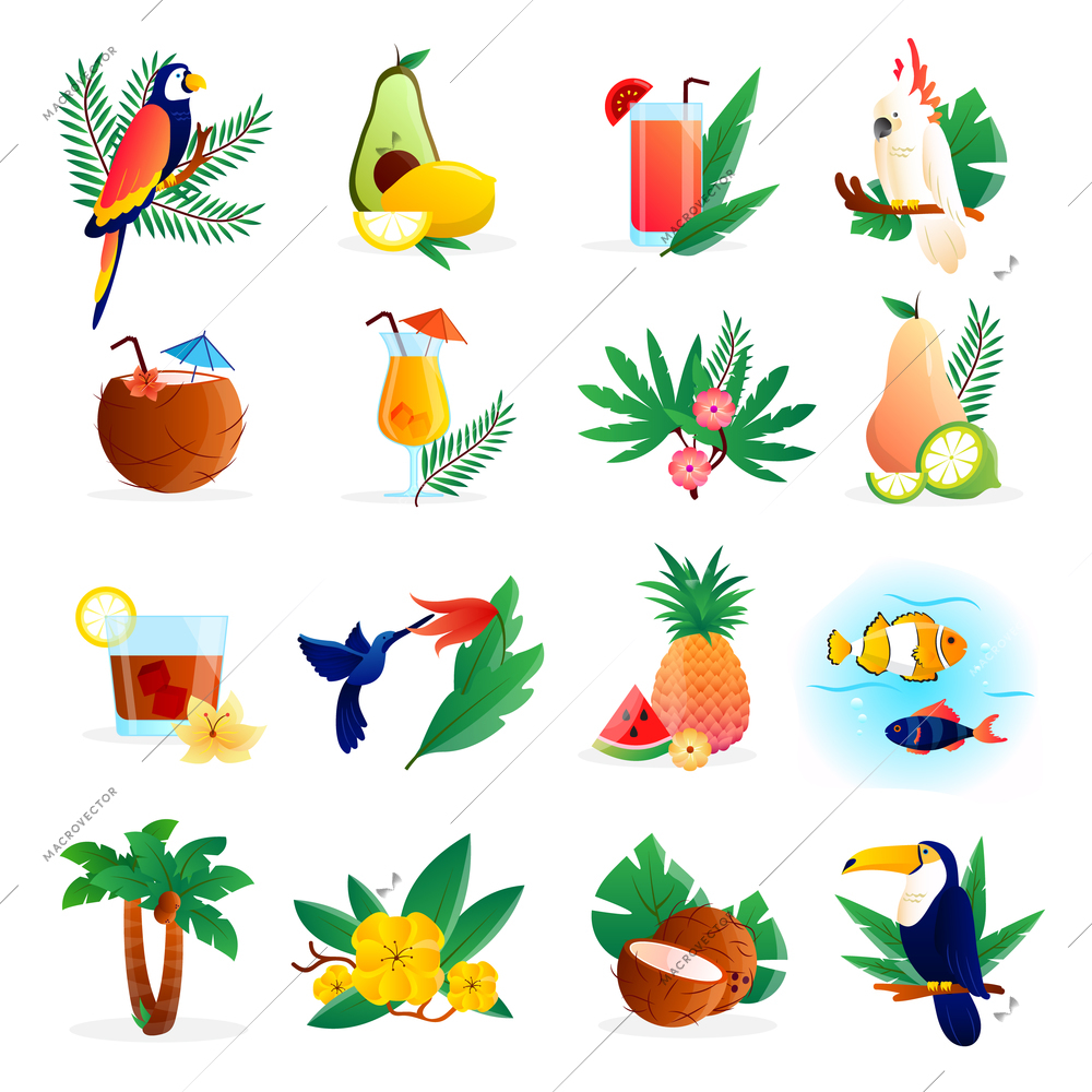 Tropical icon set with cocktails flowers fruits and birds vector illustration