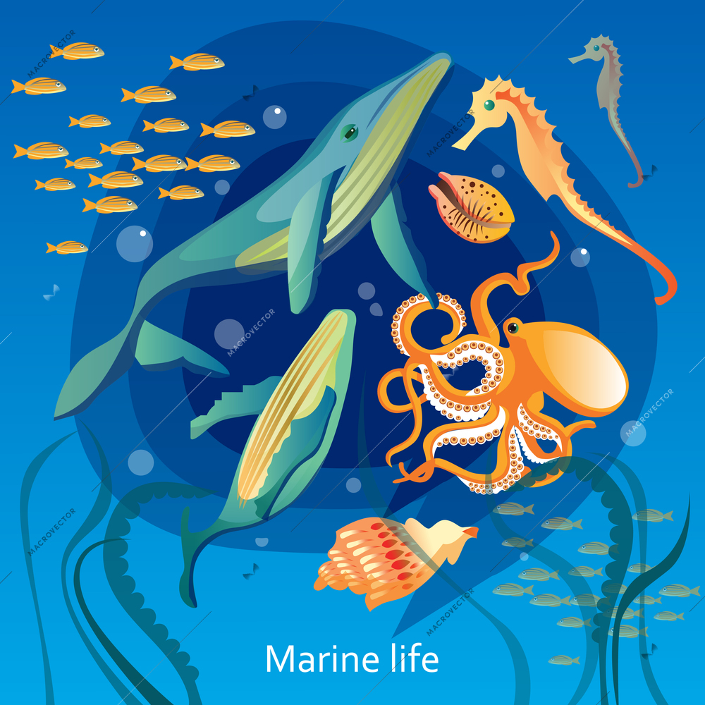 Ocean Underwater Life Background. Sea Underwater Life Vector Illustration. Marine Underwater Life Design. Underwater Life Cartoon Decorative Symbols.