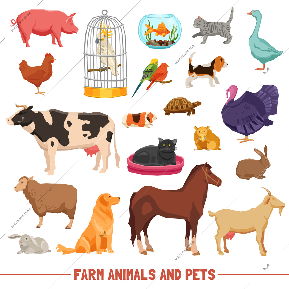 Big and small farm animals birds and home pets on white background flat isolated vector illustration