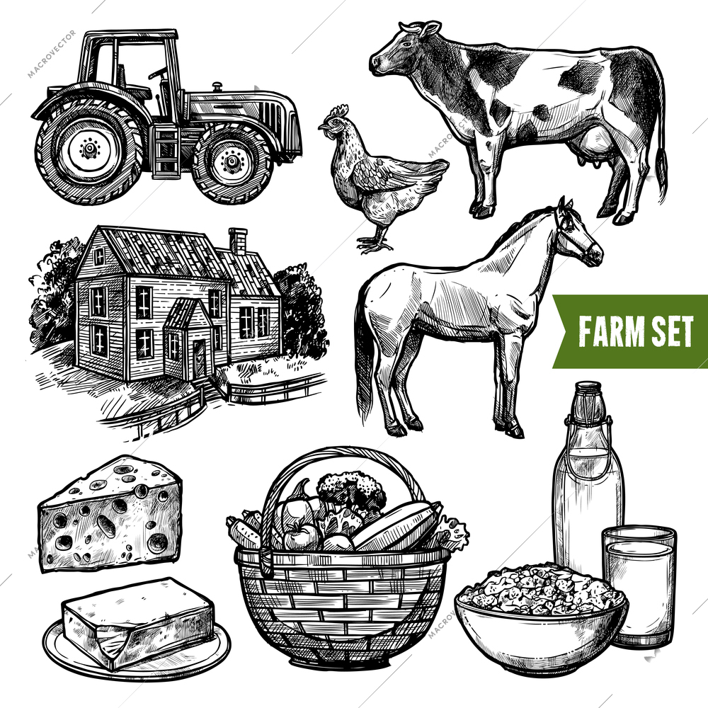 Black and white organic farm set with healthy food farm animals tractor and farmhouse on white background sketch hand drawn isolated vector illustration