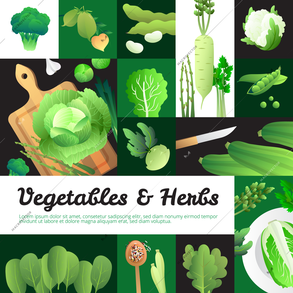 Vegetarian food banners composition poster with organic fresh  cabbage and green vegetables on cutting board vector illustration