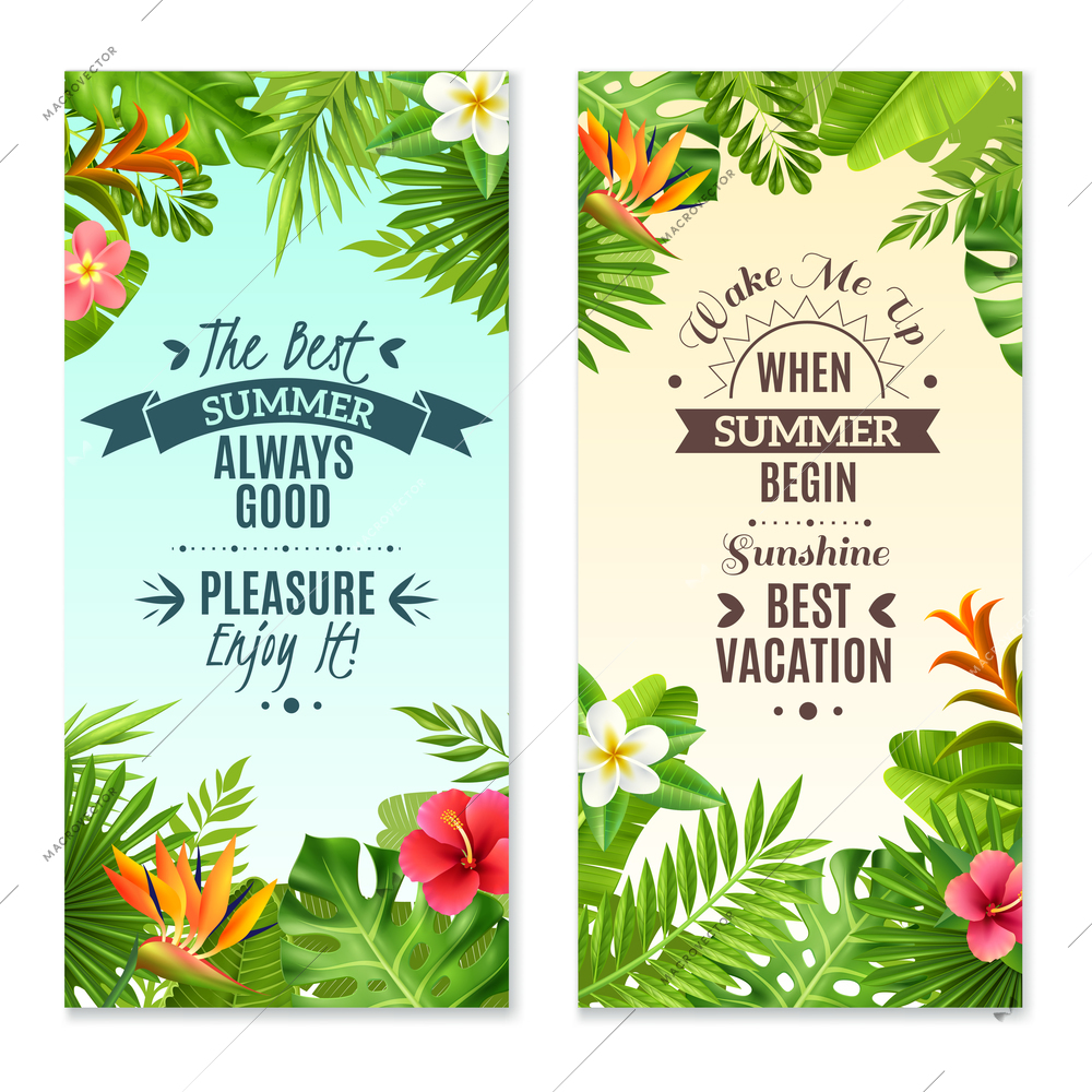 Summer vacation in tropical rainforest 2 vertical banners with hibiscus and bird paradise plants flowers isolated vector illustration