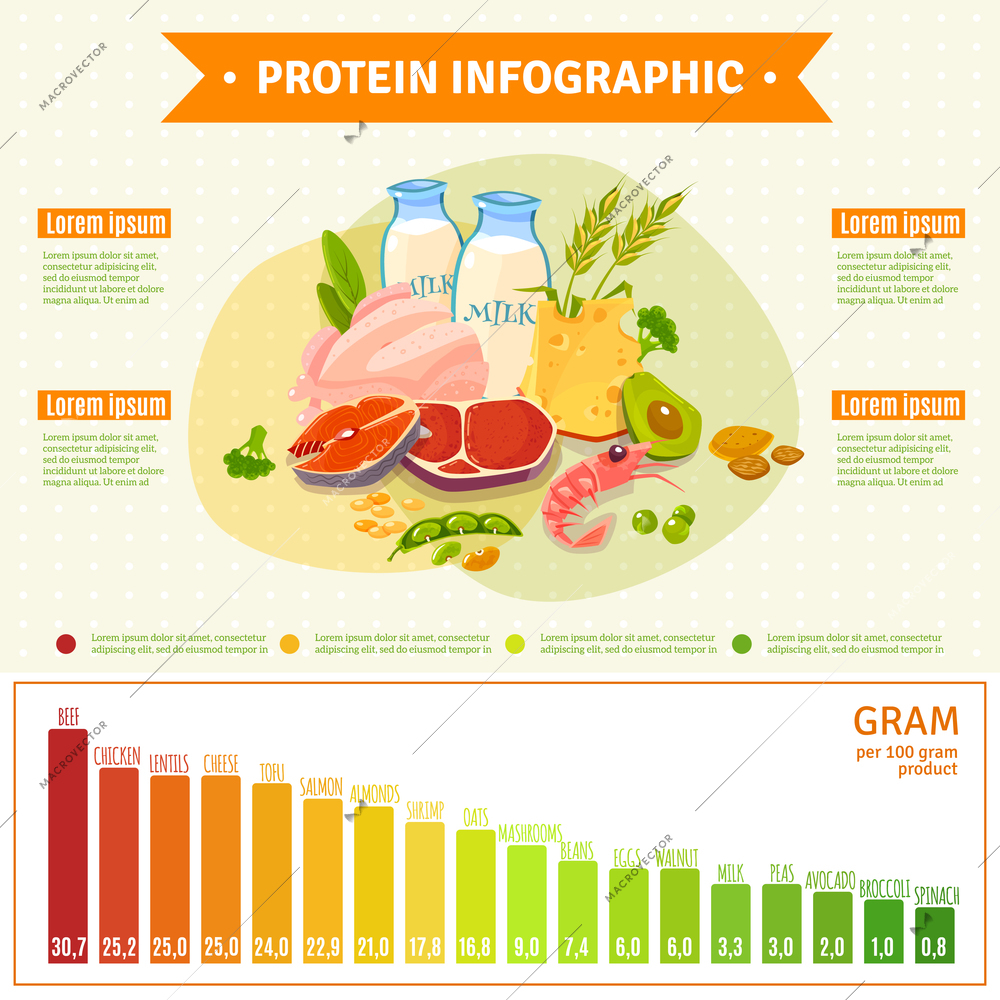Informative poster on protein rich healthy nutrition with text diagram and infographic elements flat abstract vector illustration